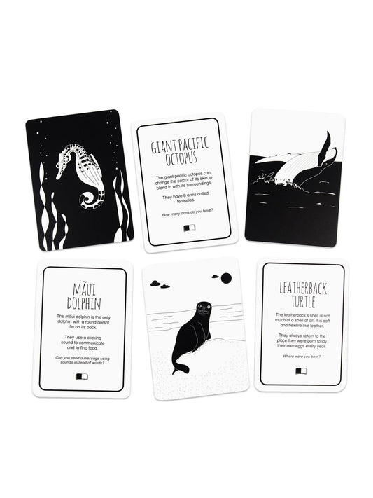 High Contrast Baby Flash Cards - Ocean Animals Book The Little Black & White Book Project 